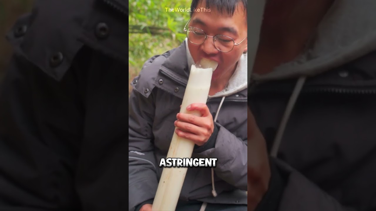 It Looks Way Better Than It Tastes