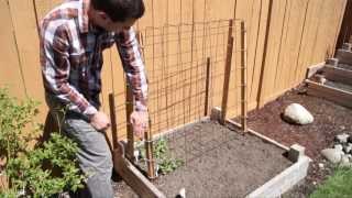 How to build a cheap and easy trellis for peas, beans, melons, cucumbers, and anything else that climbs! We show you different ...