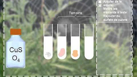 Quel est le but de la réaction de biuret ?