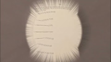 Architect and Engineer Scales Lab