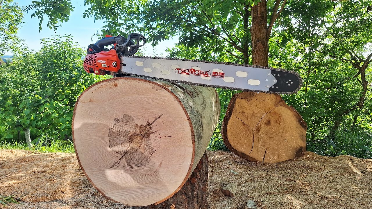 Echo CS-2511 Extreme test !!! (big bar and very hard wood)