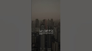 سورة لقمان - ان الله لطيف خبير - حالات واتس