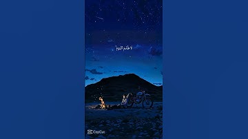 اكتب شيء تؤجر عليه ♥️♥️ القارئ# محمد اللحيدان#قرآن#(القرآن#الكريم)