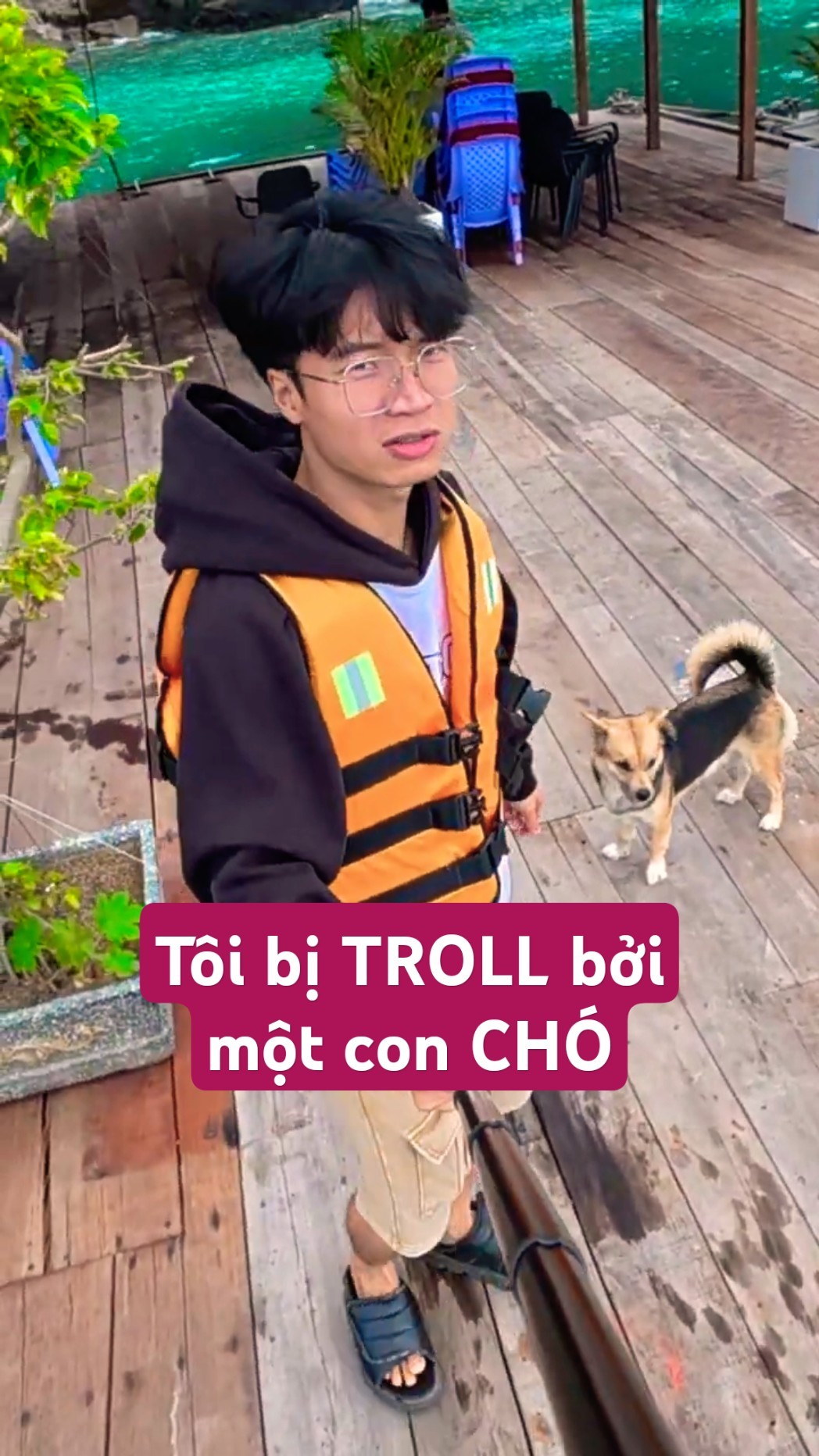 ???? TROLL Dog \u0026 ending up being TROLL #short #tonytv #troll