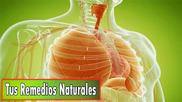 ¿Cómo limpian los fumadores sus pulmones de forma natural?