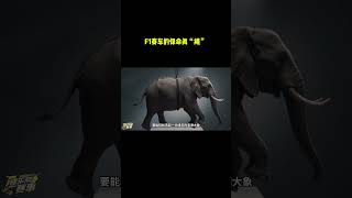 F1赛车的保命真“绳” F1撞车为什么轮胎不乱飞？这条“绳子”才是保命神器 #F1 #赛车 #安全绳 #撞车 #汽车知识 #汽车