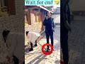 Chinese Comedy Short Video Chinese Funny Videos 2025 Shorts Funny Comedy Facts Chinese Comedy Short Video Chinese Funny Videos 2025 Shorts Funny Comedy Facts