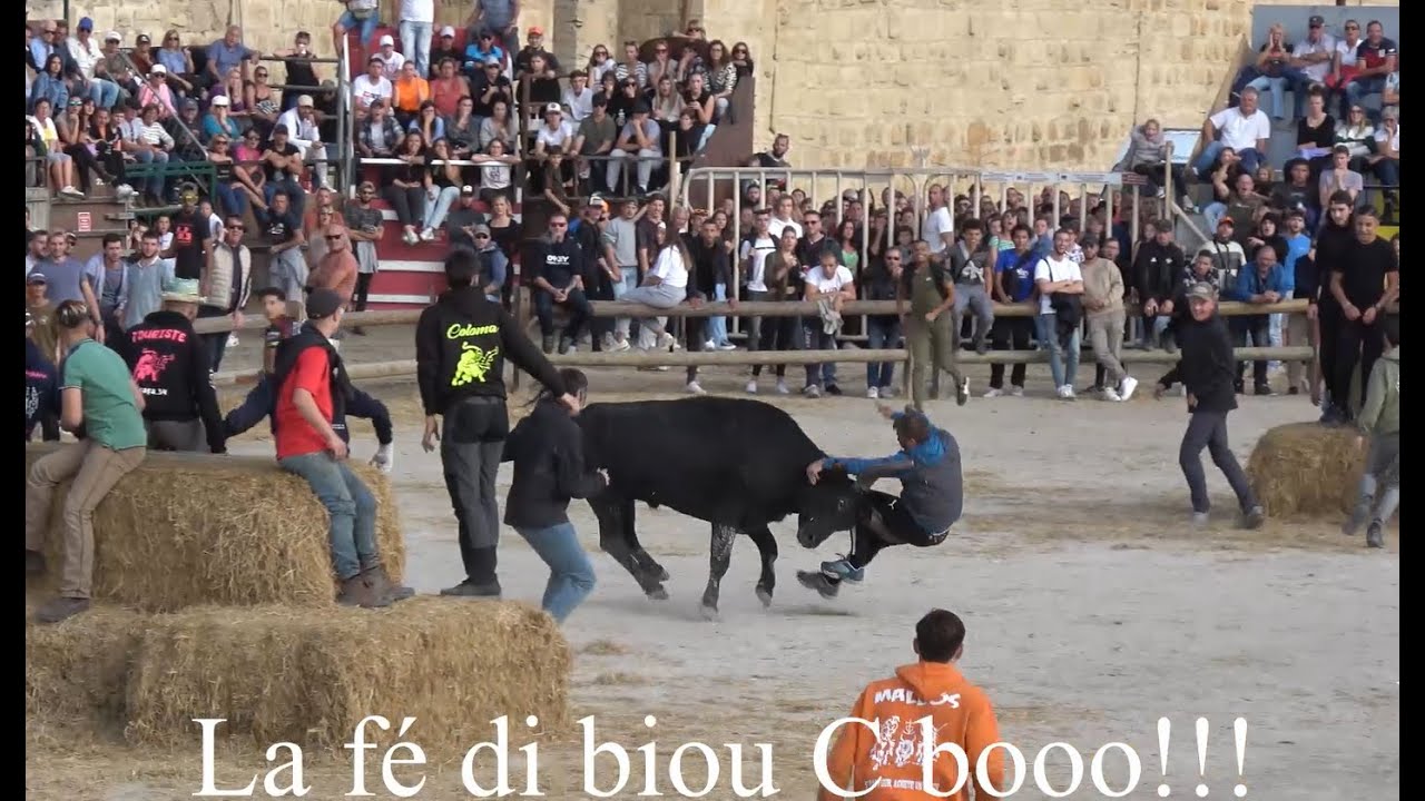 REVIVRE D'AIGUES-MORTES Octobre 2023 (course au plan).