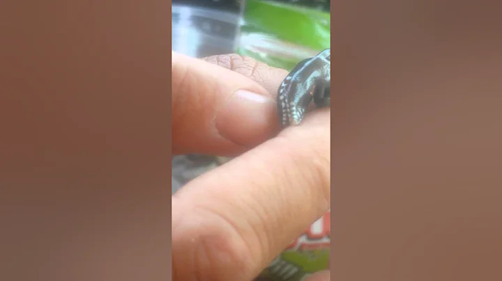 Oh Shit He Bit Me Part 2