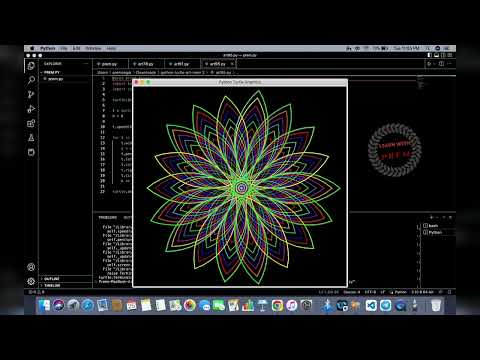 Amezing star design 😱 python turtle art 🎨🖌️ #youtube #python ©