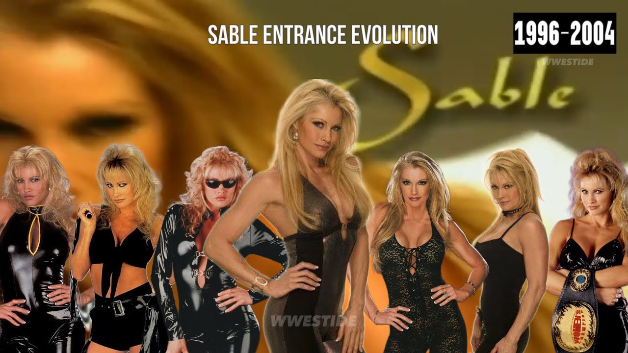 Эволюция входа Соболя (1996-2004)