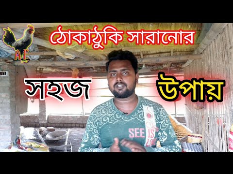 ভিডিও: হাইব্রিড ঠোঁট