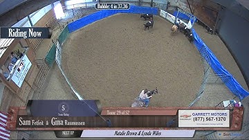 Big Sky Ranch Sorting Saddle Series #5 - #5 - Round #1 - Ride #29