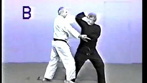 Tracy Kenpo Karate Blue Belt Reference Video