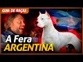 DOGO ARGENTINO, A FERA DOS HERMANOS! | RICHARD RASMUSSEN
