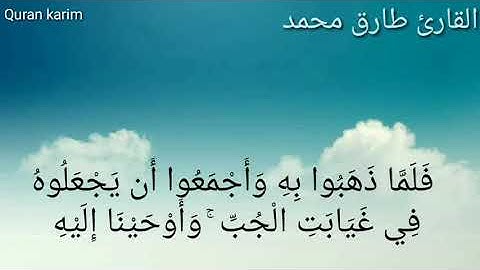 سورة "يوسف"فَلَمَّا ذَهَبُوا بِهِ وَأَجْمَعُوا أَن يَجْعَلُوهُ فِي غَيَابَتِ الْجُبِّ ۚ