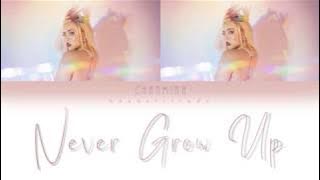 CHANMINA (ちゃんみな) - Never Grow Up (JPN, ROM, ENG) Lyrics