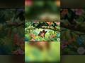 Monkey Song for Kids 🐵 | Learn Monkey with Fun Music 🎵 | Wild Animals for Kids #shorts