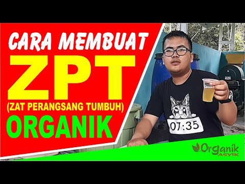 TUTORIAL PEMBUATAN ZAT PERANGSANG TUMBUH (ZPT) TUMBUHAN MENGGUNAKAN BAWANG MERAH DAN MICIN. 