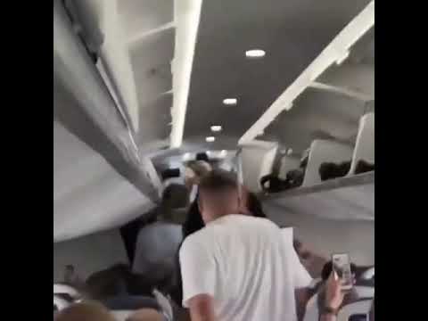 "Quem fala 'fora Bolsonaro' devia estar viajando de jegue", diz Bolsonaro em voo
