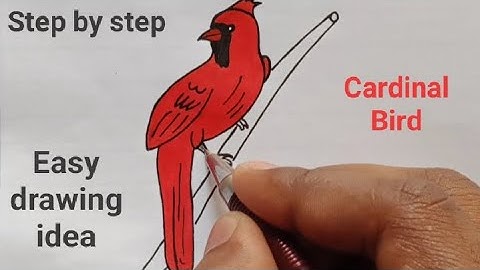 How To Draw A 