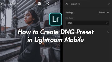How to Create DNG Preset in Lightroom Mobile app