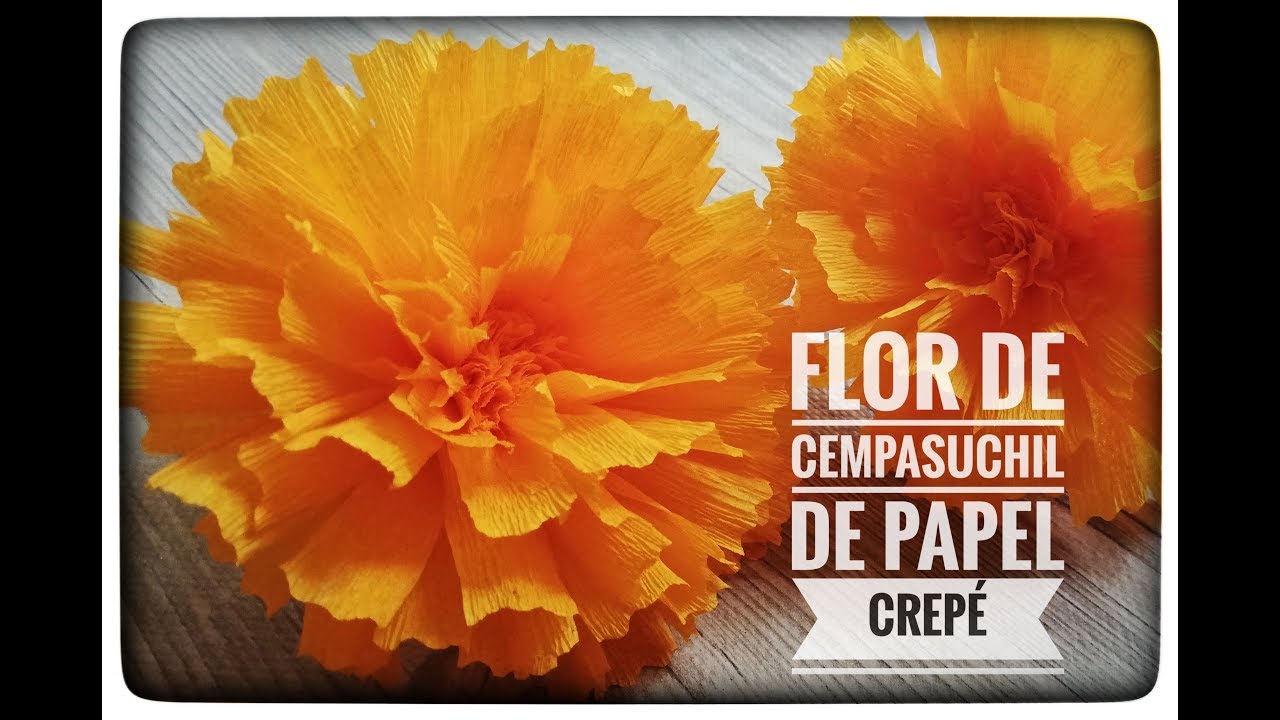 Cempasuchil de papel crepé/ Marigold - YouTube