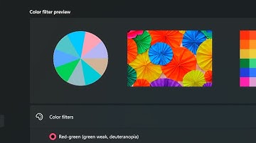 How to Change the Color Filters in Windows 11 Very Quick