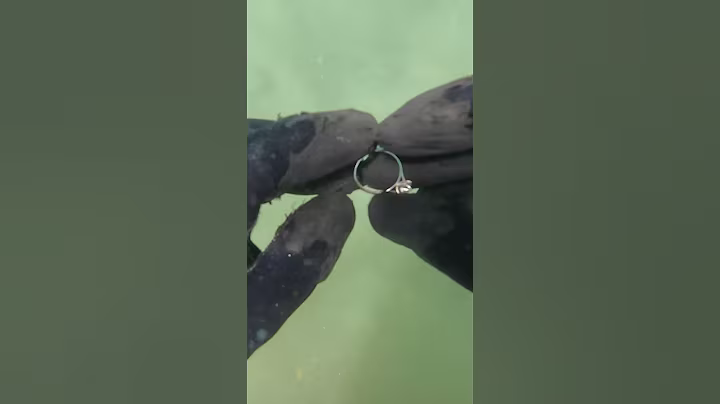 ORO BLANCO y DIAMANTE 💍💎 #shorts