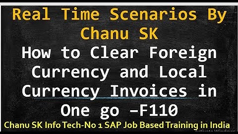 *Automatic Payment Program Configuration*-APP Real time scenarios- SAP Real Time Training Chanu SK