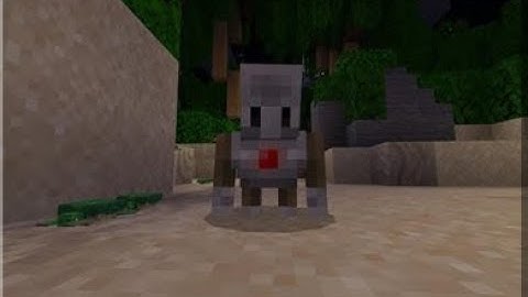 Sea Turtles, Minecraft Education Edition