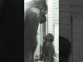 赤ちゃんにまさかのパパのパンチ#Shorts