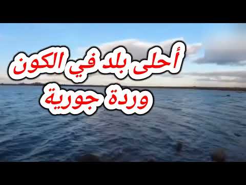 محلى هواء حوران محلى سورية للفنان علي عمار تحيا 
