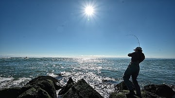 How To Blackfish from shore