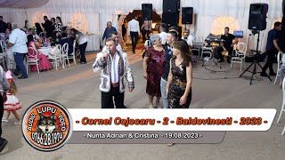 Cornel Cojocaru - 2 - Nunta Adrian & Cristina - Baldovinesti 19.08.2023