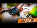 ESCORPIÃO GIGANTE: A VIDA SELVAGEM E OS DESAFIOS DO ARAGUAIA!