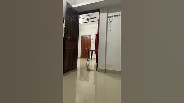 Training my cat to fetch-Adorable and hilarious 🐈❤️ #funnycatvideos #funnycats #cattalent #cutecat