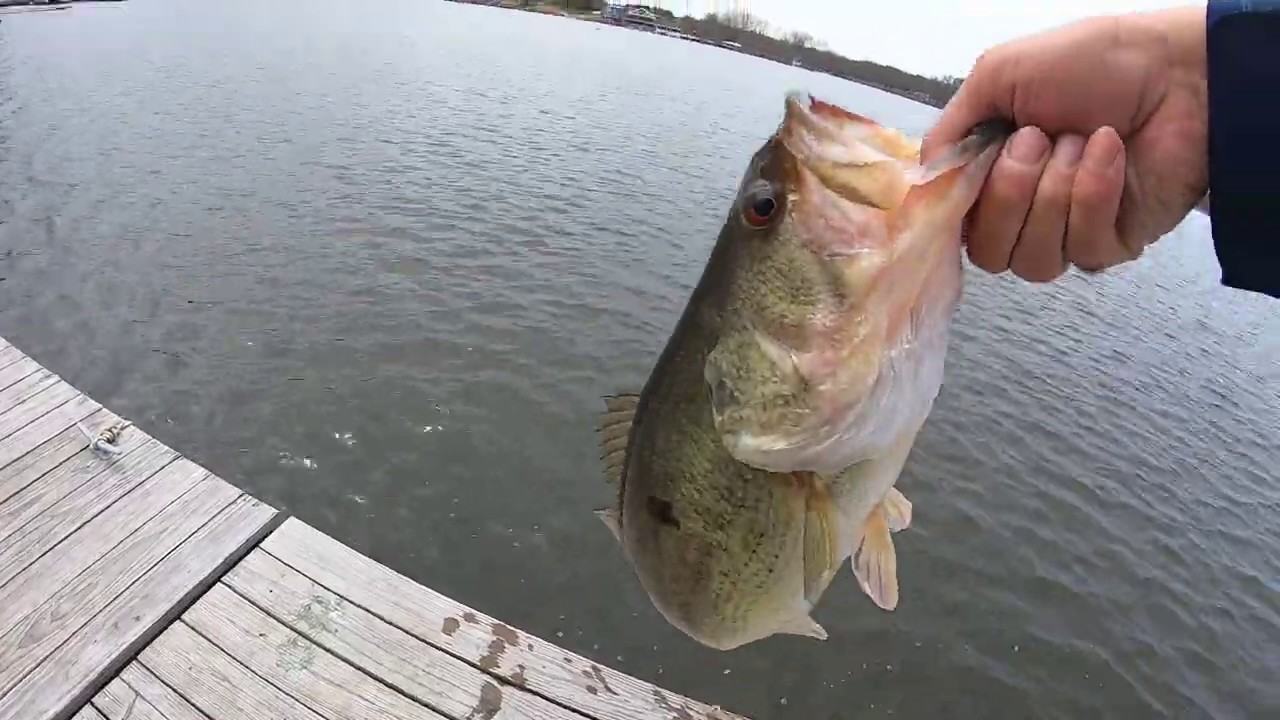 Fishing Compilation in New Jersey. Bass Crappie Pickerel. Early Spring