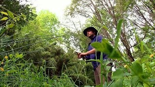 #28 Fly Fishing in Araucania Region - Living Atlas Chile