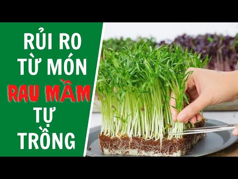 Video: Hạt Tốt Nhất Cho Rau Mầm: Hạt Cho Rau Mầm Để Ăn