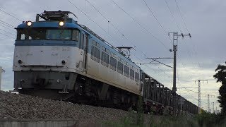 【JR貨物】１１５１レ ＥＦ８１-５０３ 大牟田専貨