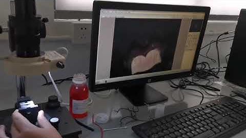 WL-SE4 Automatic Analysis System for Crimp Cross Section