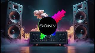 🌋 Bassquake Remix | SONY Earth Shaking Sound