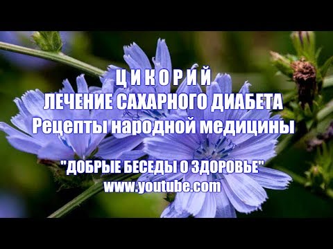 ЦИКОРИЙ. ЛЕЧЕНИЕ САХАРНОГО ДИАБЕТА. РЕЦЕПТЫ НАРОДНОЙ МЕДИЦИНЫ