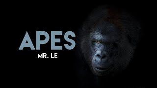 APES 20-3 and 20-4 Screencast