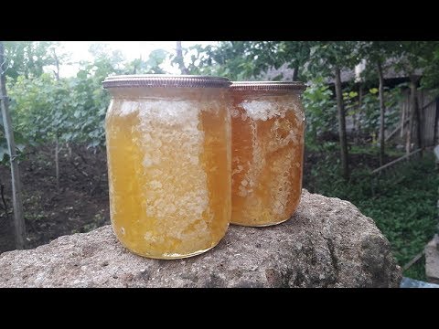 ვიდეო: თაფლის ნამცხვრები 