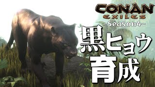 【Conan Exiles】黒ヒョウ育成してみた！！【コナンエグザイル / コナンアウトキャスト / 攻略実況】