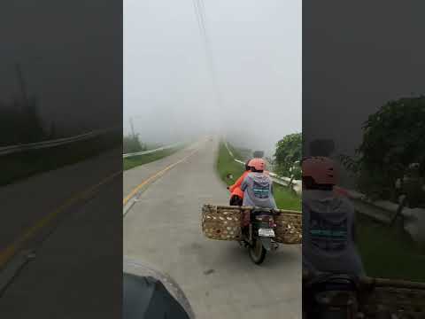 Chasing the fog,