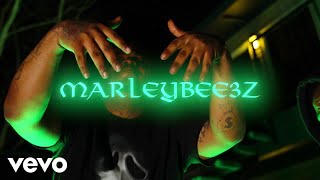 Marleybee3z - EBK Jaaybo Diss