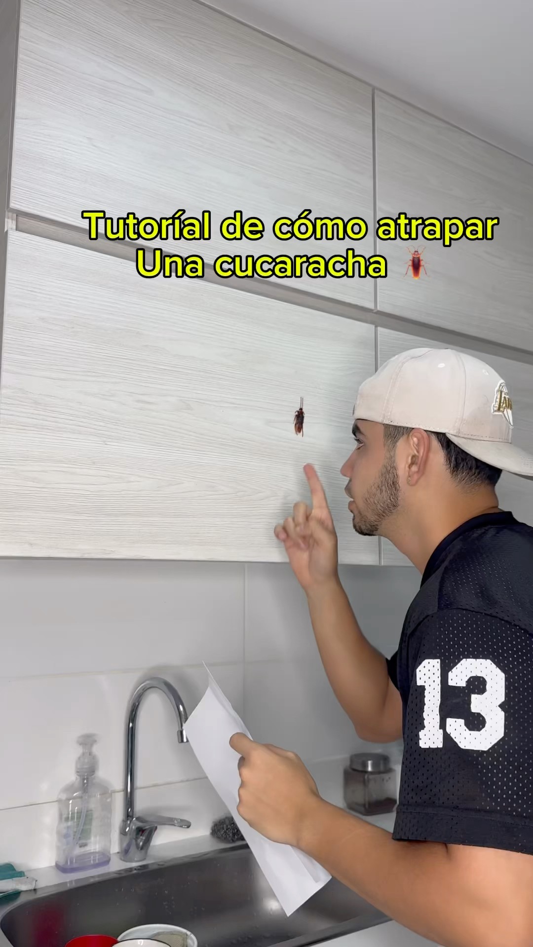 Tutorial de como atrapar una cucaracha ?? #cucaracha